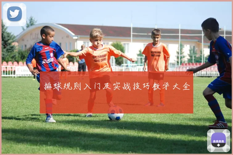 排球规则入门及实战技巧教学大全