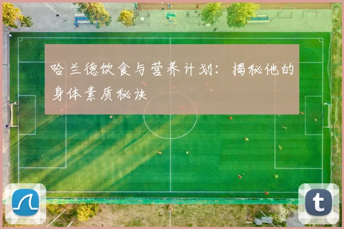哈兰德饮食与营养计划:揭秘他的身体素质秘诀