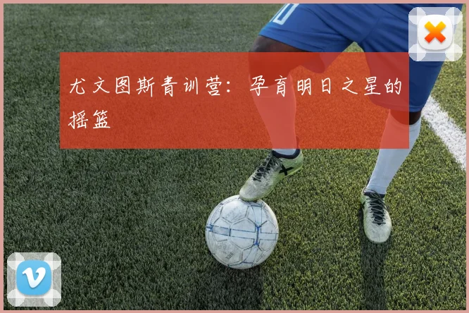尤文图斯青训营：孕育明日之星的摇篮