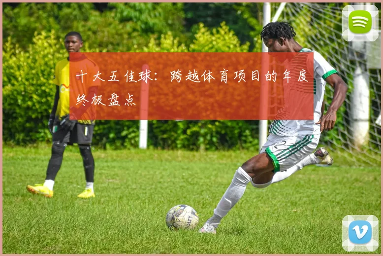 十大五佳球：跨越体育项目的年度终极盘点